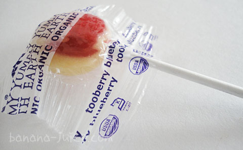 Yummy Earth（ヤミーアース）　オーガニックフルーツロリポップ